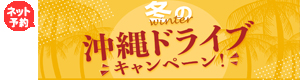 冬の特別Sale ! 沖縄へGoGoキャンペーン !  (沖縄本島・宮古島・石垣島)